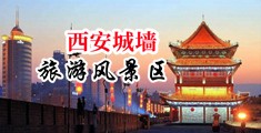 美国大鸡吧操人人中国陕西-西安城墙旅游风景区